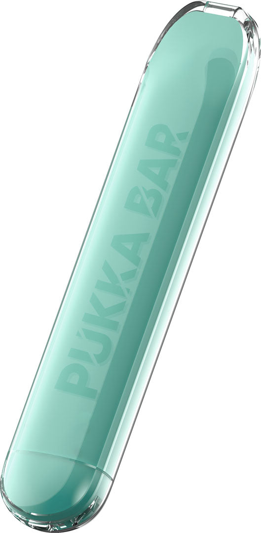 PUKKA BAR - SPEARMINT GUM x10